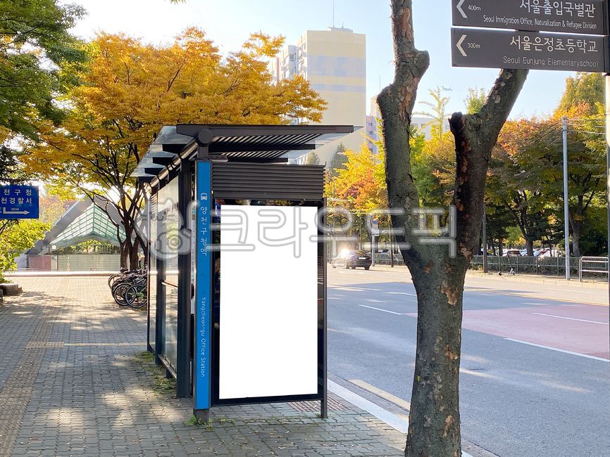 버스정류장,정류장,광고판,승차장,목업,목업이미지,사각형,스크린,옥외광고판,광고,빌보드,비즈니스,비지니스,빈공간,상업광고판,도시,옥외,배경,바탕,백그라운드,상업광고,빌딩,건축물,stop,busstop,mockup,mockupimage,square,screen,advertisement,billboard,business,emptyspace,commercialbillboard,city,outdoors,background,commercialadvertisement,building