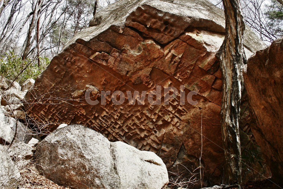 속리산,활자바위,바위,속리산국립공원,자연,신비,자연,풍경,nature,landscape,fungus,진균류