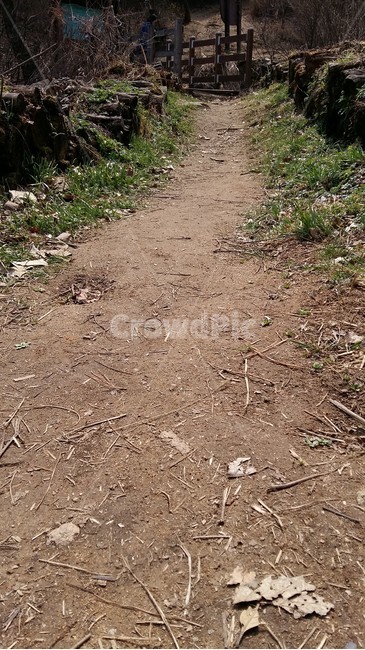 봄,봄길,산길,봄산,등산길,자연,풍경,nature,landscape,ground,바닥,gravel,자갈,road,도로,dirt road,흙길