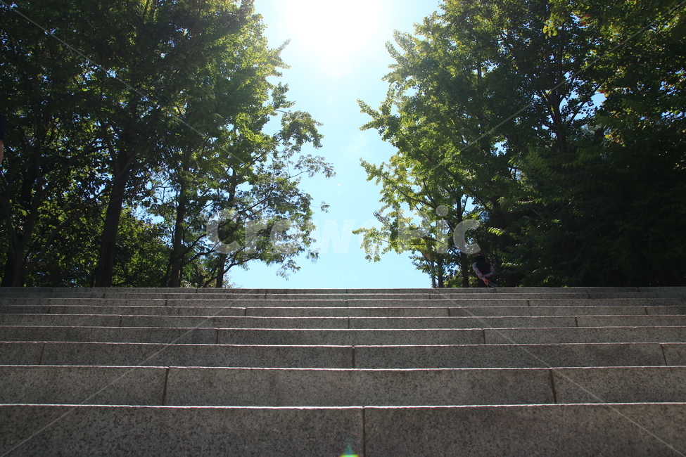 sky,bulesky,tree,walk,숲,산책로,길,계단,돌계단,하늘,푸른하늘,나무,산책,forest,walkway,road,stairs,stonesteps,자연,풍경,nature,landscape,handrail,난간,banister