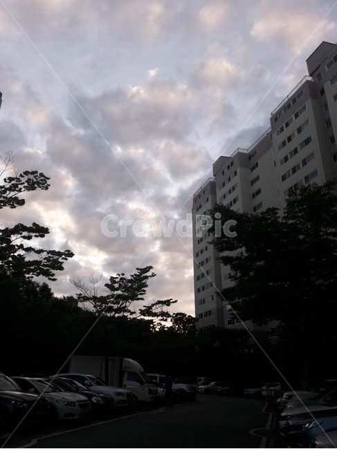 일출,해,하늘,구름,cloud