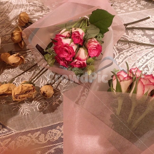 plant,꽃,flowerarrangement,꽃다발,꽃디피,식물,자연,plants,nature,꽃,flower
