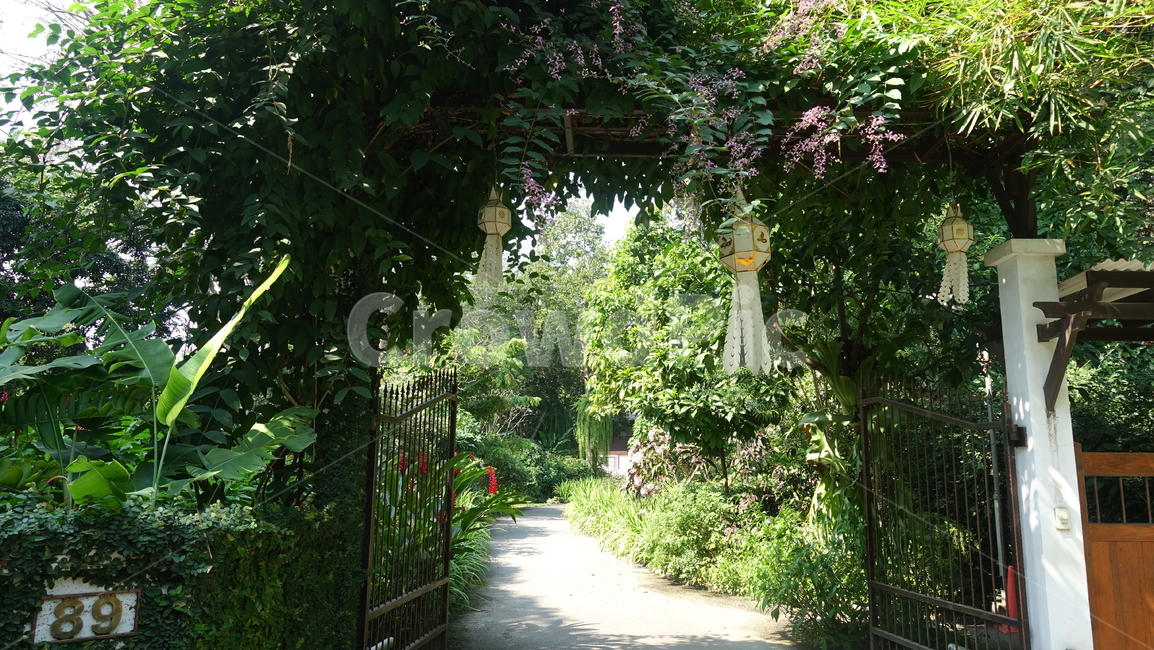 outdoors,옥외,정원,안마당,동네