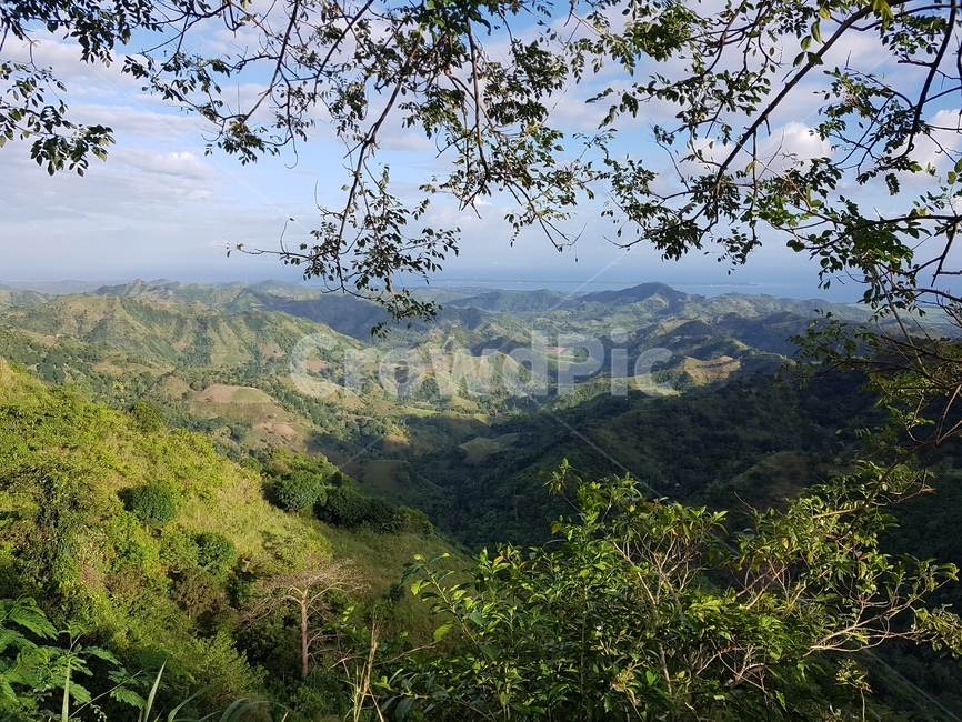 nature,자연,outdoors,옥외,vegetation,초목,plant,식물,자연,풍경,nature,landscape