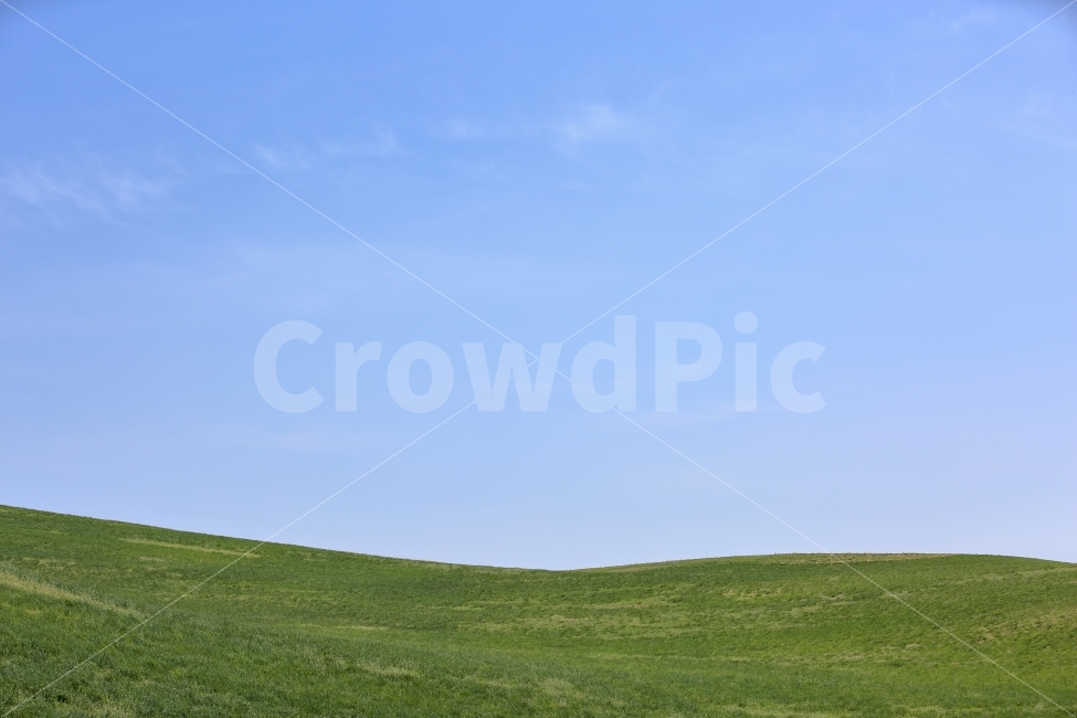 배경화면,하늘,풍경,사진,웹,포토,맑음,sky,언덕,자연,풍경,nature,landscape,outdoors,옥외,field,들,grassland,목초지,plant,식물,grass,잔디