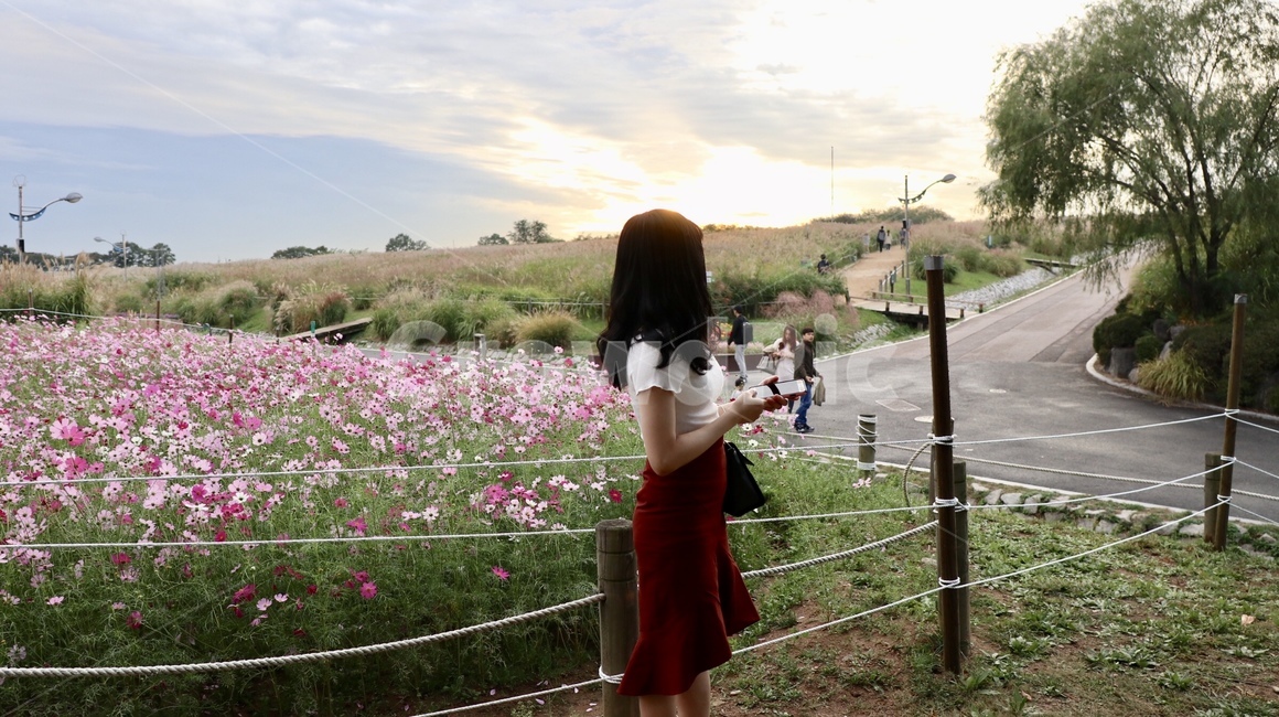 인간,human,person,사람,식물,plant,식물,자연,plants,nature,꽃,flower,사람,인물,인간,human,person,여성,여자,woman,female,lady
