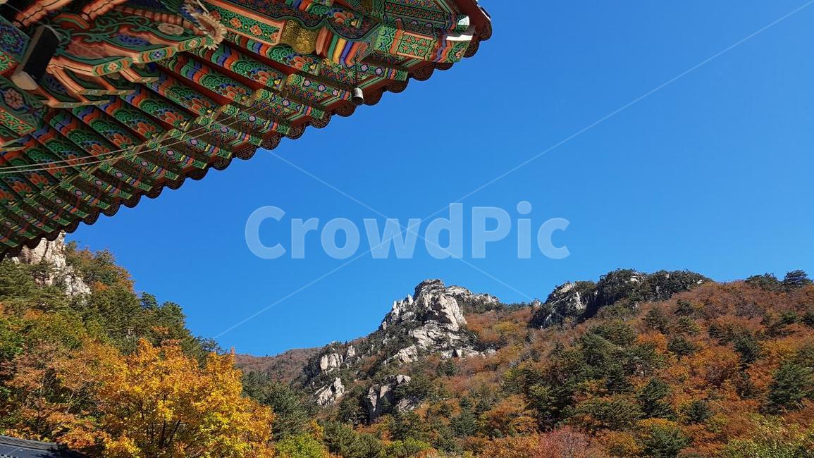 설악산,가을,단풍,오세암,단청,하늘,가을,계절,fall,autumn,season,자연,풍경,nature,landscape,한국자연풍경,한국자연경관,korea nature landscape,한국전통,한국문화,korean traditional,korean culture,건축물,건물외관,exterior,building,structure,architecture,construction,건물