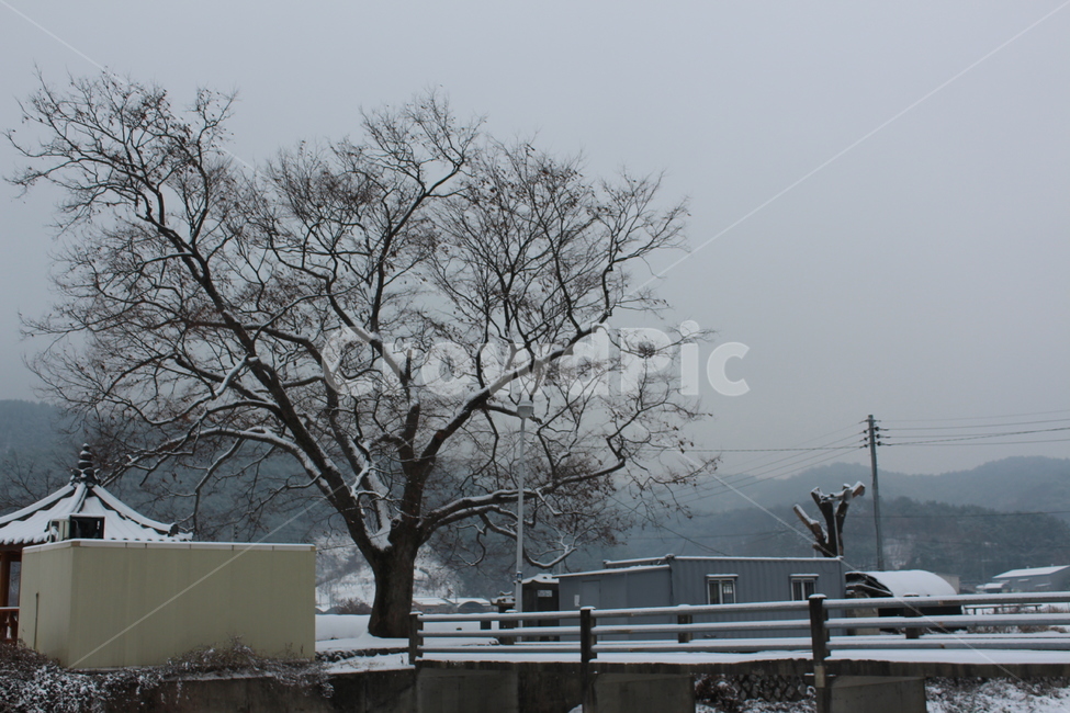 겨울,눈,snow,겨울아침,시골풍경,snowing,풍경,landscape,한겨울,sensitive,feeling,winter,white