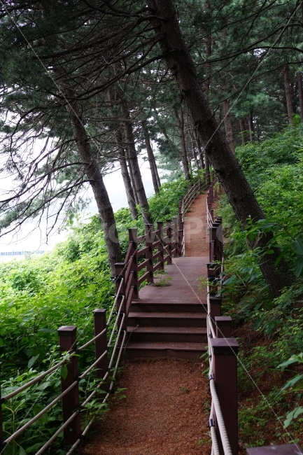 나무,공원,산책로,숲,산,식물,자연,풍경,nature,tree,여름,summer,녹색,그린,green,color,landscape,계절,season,자연,풍경,nature,landscape,outdoors,옥외,garden,정원,arbour,정자