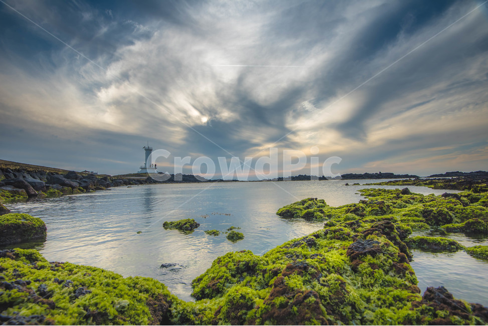 해변,바다,구름,일몰,반영,이끼,길,등대,원,푸른,푸르름,자연,풍경,nature,landscape,한국자연풍경,한국자연경관,korea nature landscape,해변,바다,beach,sea,등대,lighthouse,제주도,jeju,jeju island,plant,식물