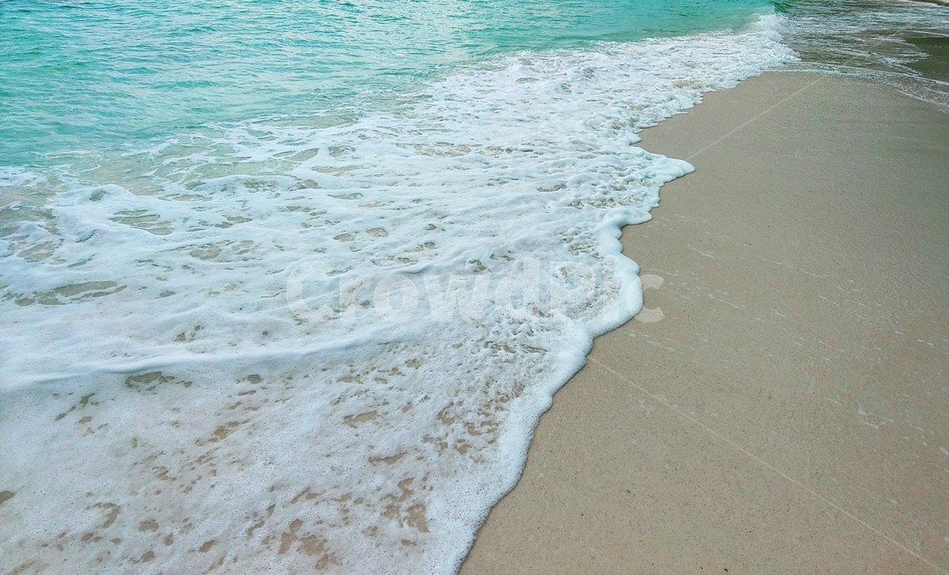 파도,여름,summer,sea,바다,wave