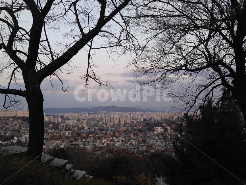 나무,성,하늘,계단,건물,빌딩,풍경,도시,풍경,city,landscape,한국도시풍경,한국도시경관,korea cityscape,nature,자연,outdoors,옥외,경치,scenery,tree trunk,나무 줄기,tree,plant,식물