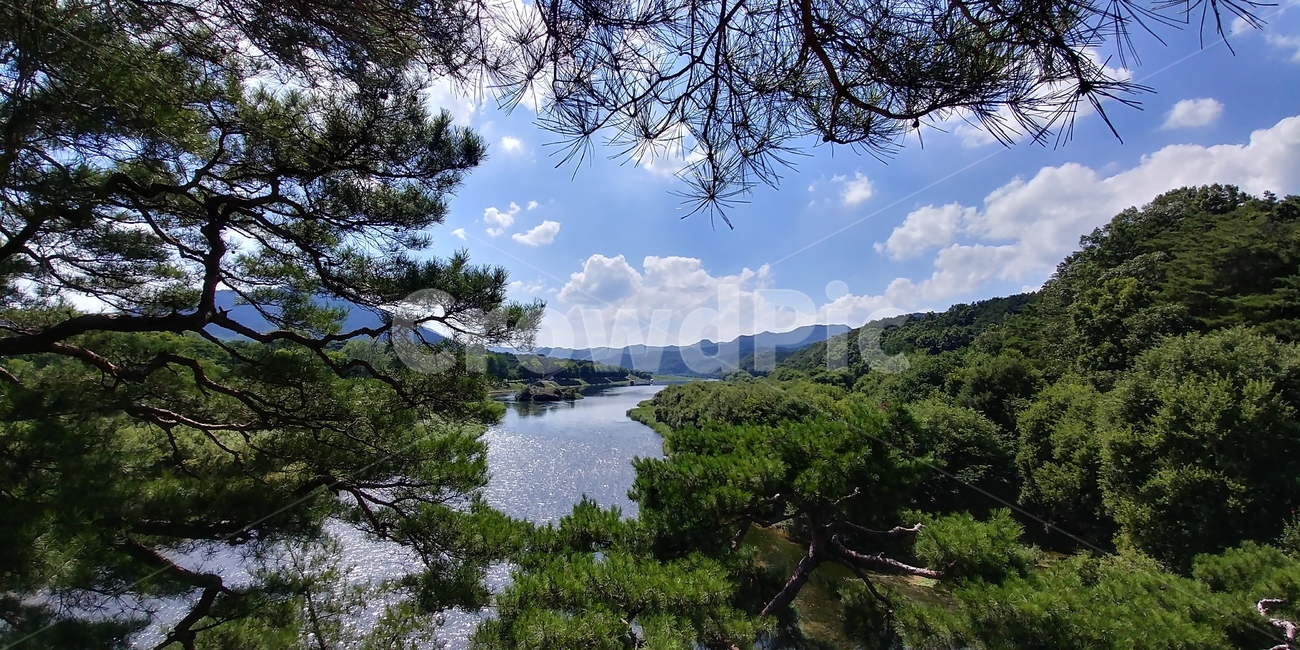 강선대,금강비경,금강절경,양산팔경,양산8경,금강,소나무,절경,구름,구름풍경,자연,풍경,nature,landscape,한국자연풍경,한국자연경관,korea nature landscape,plant,식물,tree,나무