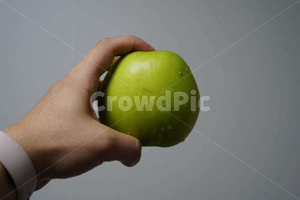 사과,과일,풋사과,음식,fruit,열매