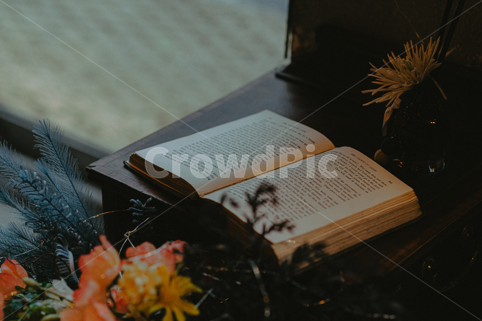 책,말씀,성경,독서,감성,book,reading,bible