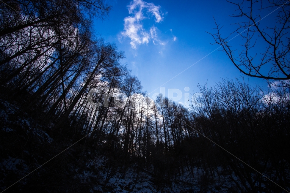눈,겨울,지리산,풍경,설경,winter,snow,겨울,계절,winter,season,자연,풍경,nature,landscape,식물,plants,나무,trees,wood,tree,plant,outdoors,옥외