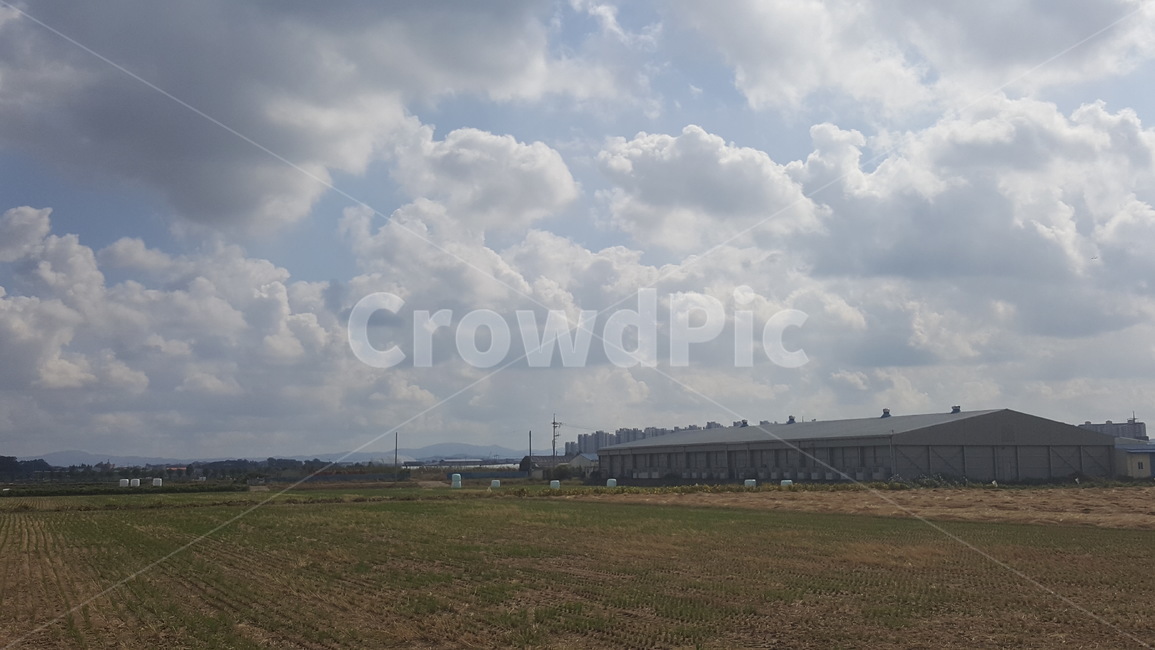 구름,cumulus,적운,nature,날씨,옥외,cloud,잔디,plant,식물,weather,outdoors,하늘,sky,자연,풍경,nature,landscape,grass