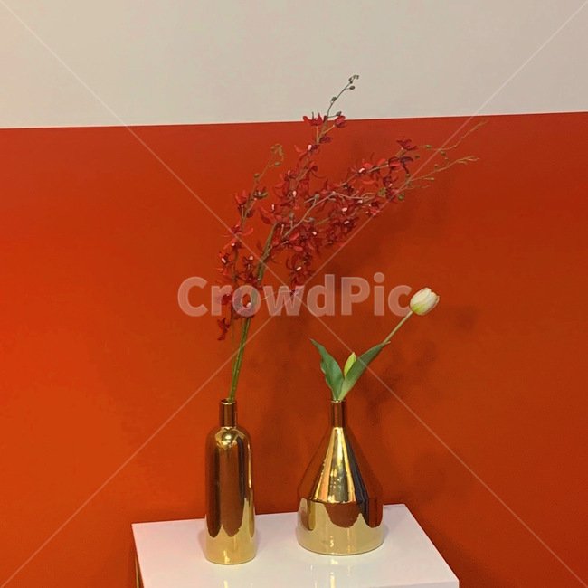 꽃,식물,빨간색,화분,red,plant,flower