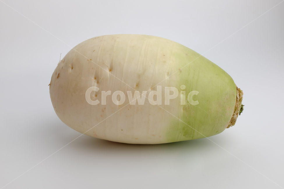 무,채소,무우,신선한,야채,채식,날것,뿌리,식물,식품,재료,식재료,음식재료,잘익은,건강한,맛있는,아삭아삭한,딱딱한,뿌리식물,촉촉한,채식음식,클로즈업,자연,음식,식재료,요리,food,cook,meal,dishes,food reserves,채소,야채,vegetables