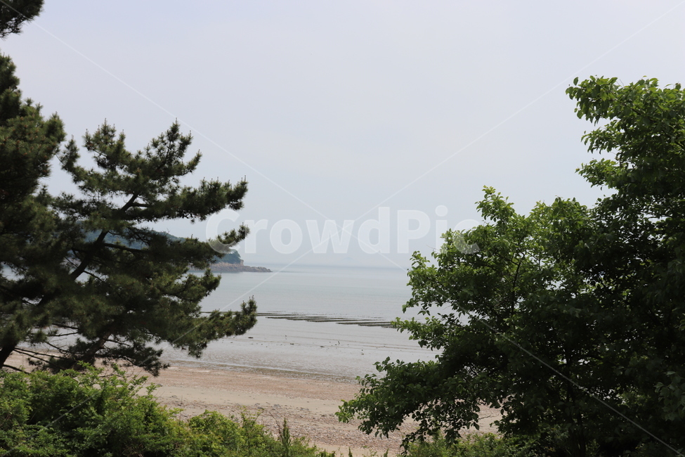 바다,해변가,해변,승봉도,사승봉도,섬,해안