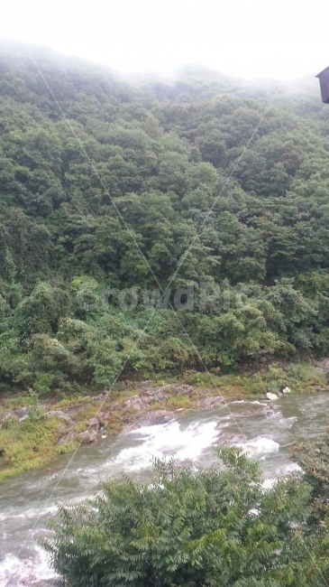 가평,펜션,강,물,시원함,자연,풍경,nature,landscape,한국자연풍경,한국자연경관,korea nature landscape,water,outdoors,옥외,stream,흐름,creek,작은 만