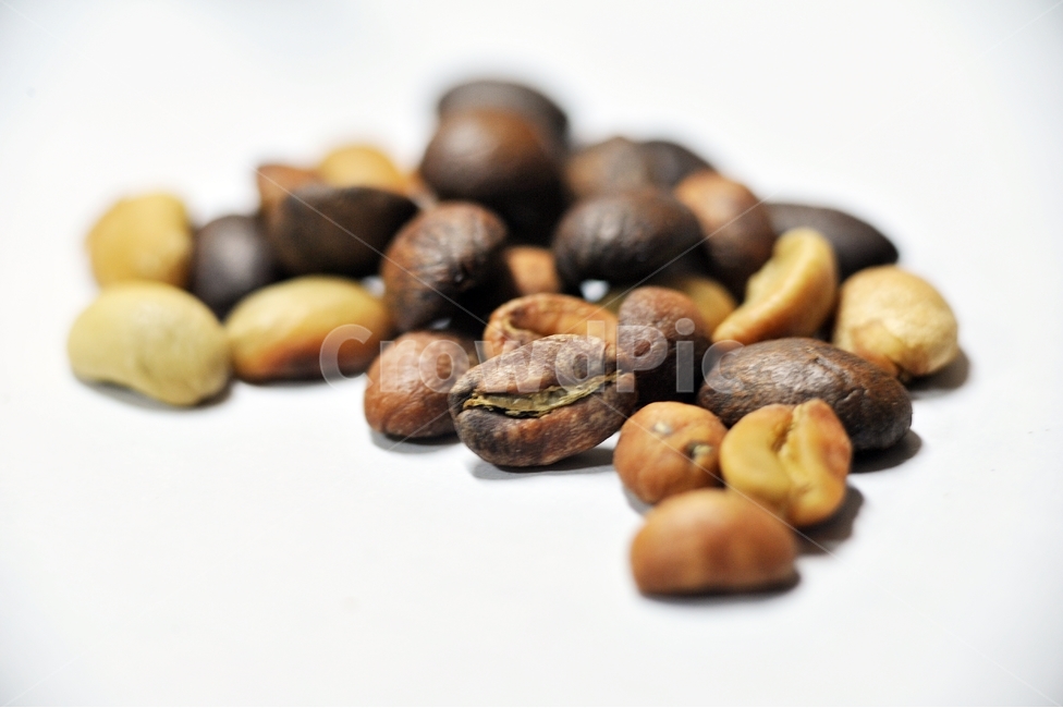 coffee,커피,생두,원두,빈,커피콩,Arabica,열대식물,열매,카페인,커피,카페,coffee,cafe,누끼,remove background