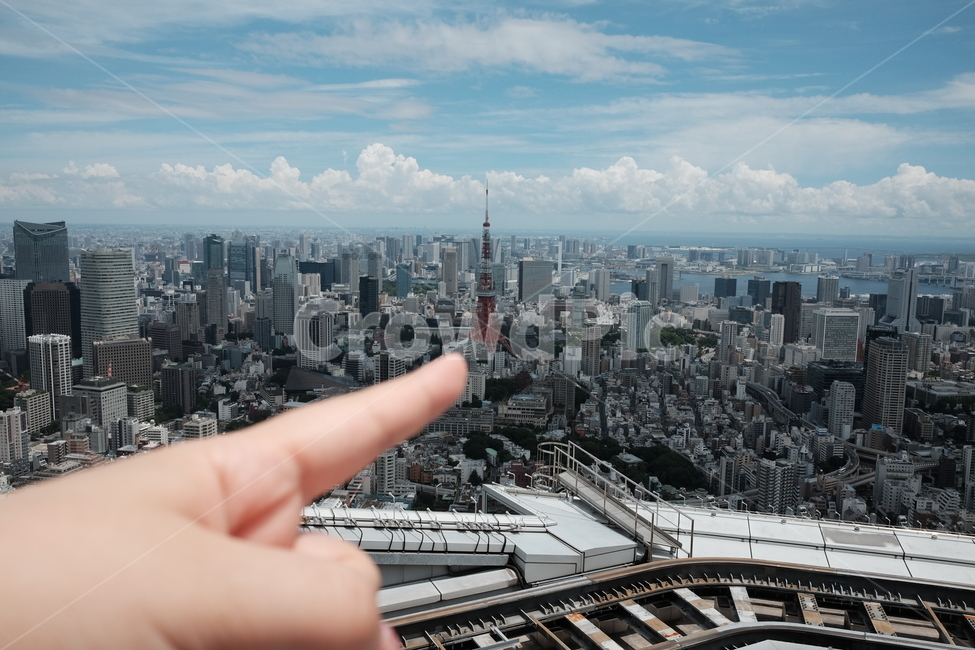 도쿄,도쿄타워,항공뷰,씨티뷰,스카이라인,지평선,도시,풍경,city,landscape,해외,외국,세계,foreign,oversea,world,세계도시풍경,해외도시풍경,외국도시풍경,world cityscape,경치,nature,자연,outdoors,옥외,metropolis,중심지,시티,town,building,건물,urban,어반,high rise,고층 건물,scenery
