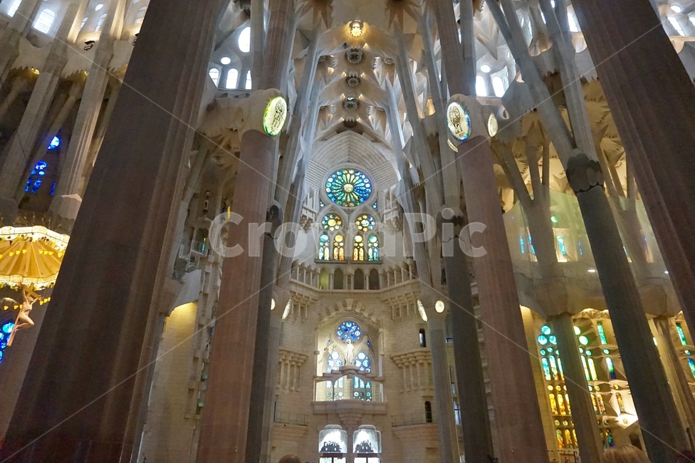 사그라다파밀리아,성가족성당,가우디성당,스페인성당,sagradafamilia,바르셀로나성당,바르셀로나명소,바르셀로나관광지,스페인명소,스페인관광지,성당,카톨릭,가톨릭,카톨릭성당,가톨릭성당,catholic,성당내부,성당천장,성당인테리어,건축물,건축,architecture,church,가우디,안토니오가우디,스테인드글라스,stainedglass,종교건물,glassart,구조물,건축설계,기하학건축물,빛,조명,유리