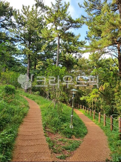 mat,forest,shelter,jogging,tree,mountain path,Street lamp,trail,path,outdoors,crossroads,road,walking,walking path,garden,rise,Handrail,uphill,walk