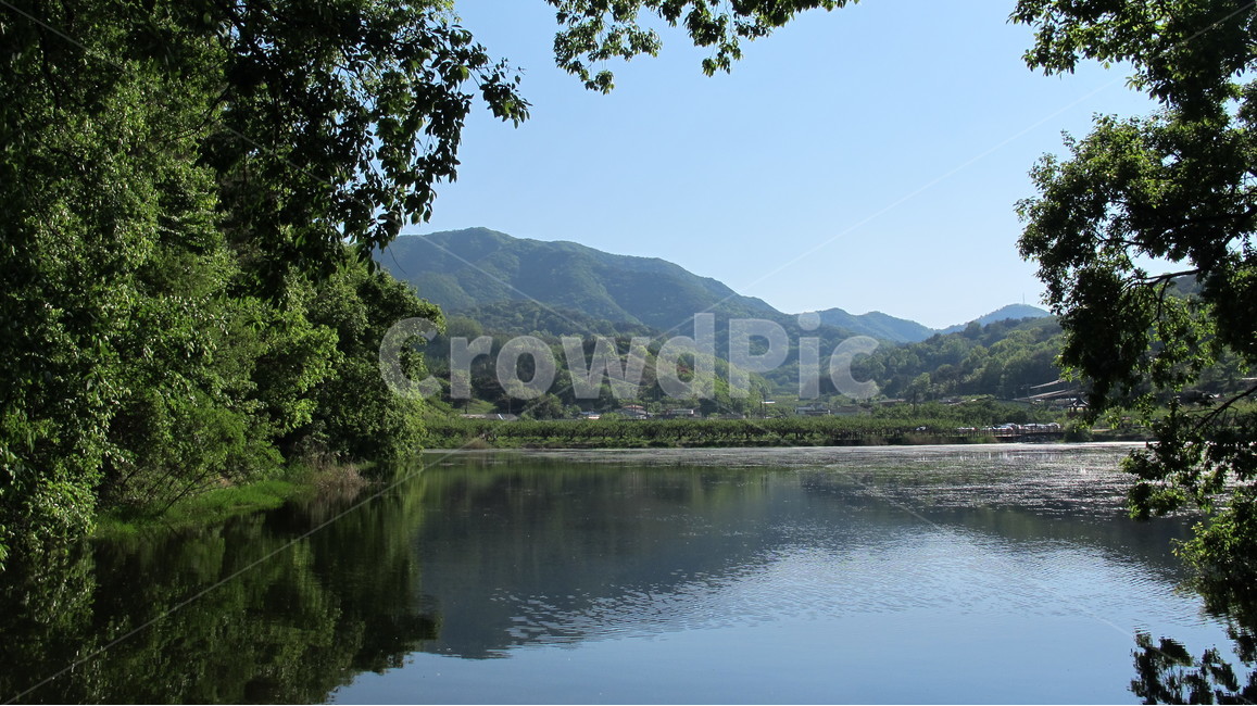 반곡지,reservoir,경산,호수,풍경,자연,풍경,nature,landscape,한국자연풍경,한국자연경관,korea nature landscape,water,물,outdoors,옥외,lake