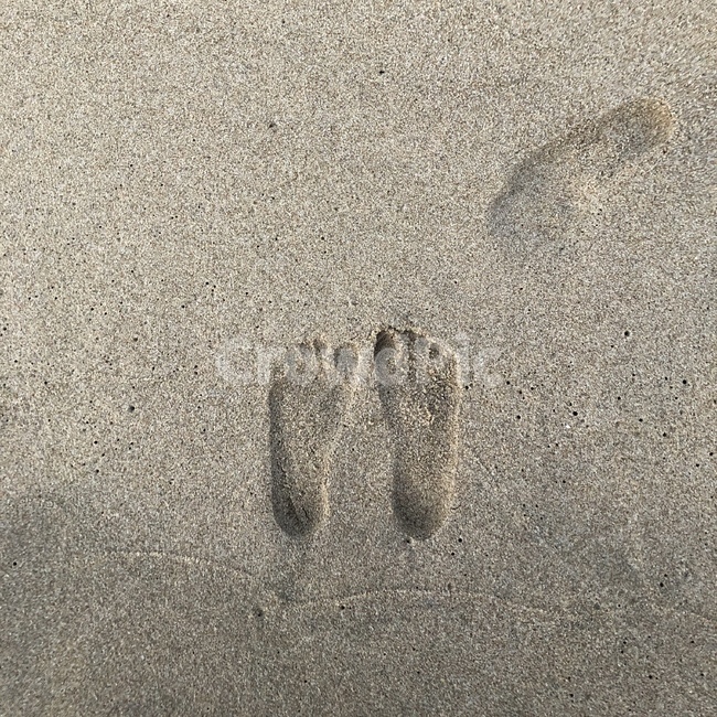 발바닥,발,발자국,모래사장,해변가,해변,모래