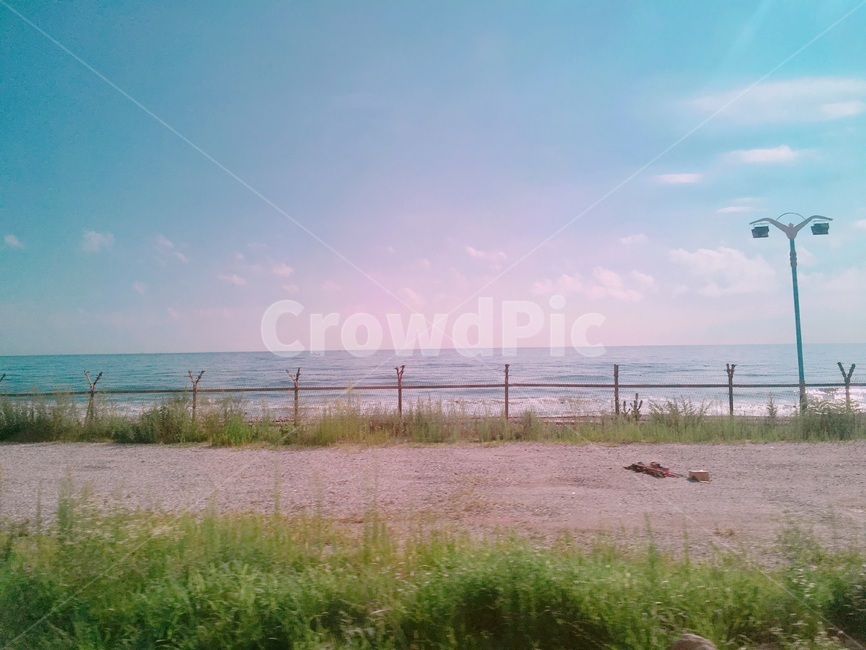해변,beach,여름,summer,필름카메라,부드러운