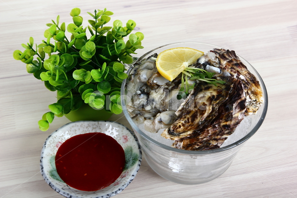석화,굴,생굴,해산물,조개,신선,싱싱,음식,식품,dish,oysters,seafood,shellfish,fresh,crispy,food,음식,식재료,요리,food,cook,meal,dishes,food reserves,수산물,해산물,fishery products,seafood