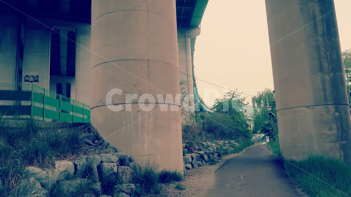 고가도로,도로,시골,길,나무,콘크리트,다리,그린,초록,bridge,traffic,highway,road,overpass,transportation,city,architecture,urban,structure,concrete,route,curve,way,street