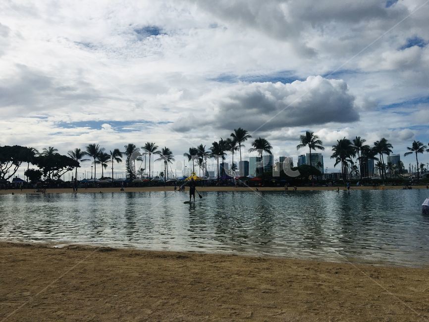 hawaii,하와이,야자수,palmtree,arecaceae,sea,패러보드,패들보드,paddleboard,hawaiianvillage,하와이안빌리지