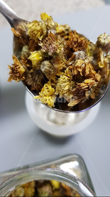 말린꽃,flower,꽃,국화꽃,꽃차,드라이플라워,flowertea