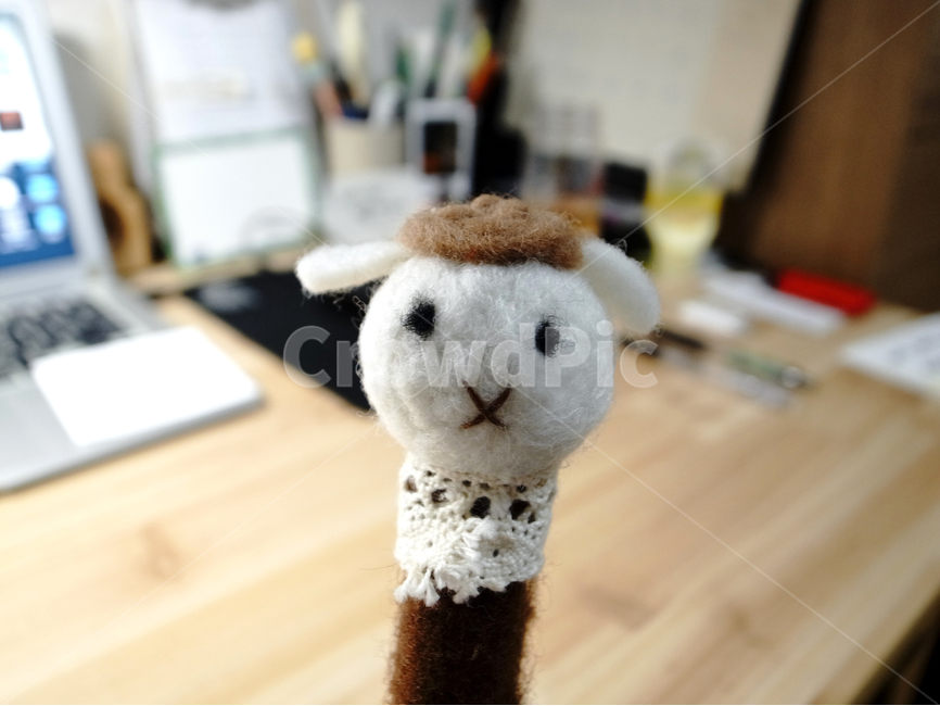 어린이,아동,양,인형,귀여운,손가락인형,펠트인형,펠트,공예,큐트,유아,child,children,doll,felt,sheep,동물,사물,물건,오브젝트,thing,object,matter