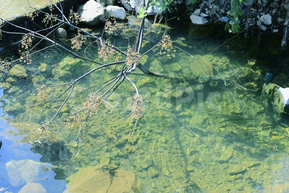 하천,시냇물,강,물,계곡,자연,풍경,nature,landscape
