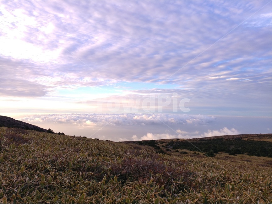 일출,노을,풍경,감성,제주,제주풍경,하늘,구름,자연,자연,풍경,nature,landscape,outdoors,옥외
