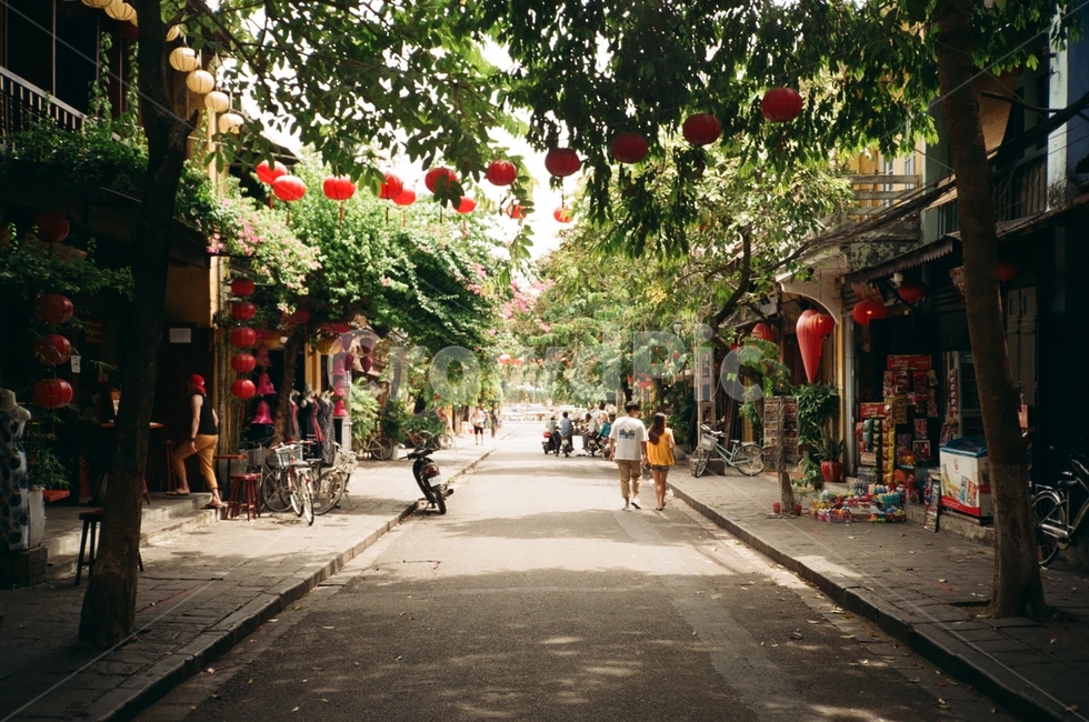 베트남,호이안,동남아,거리,필름카메라,도시,풍경,city,landscape,해외,외국,세계,foreign,oversea,world,세계도시풍경,해외도시풍경,외국도시풍경,world cityscape,garden,정원,outdoors,옥외