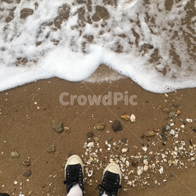 바닷가,조개,바다,파도,물결,휴식,여름,해수욕장,해변,바다,beach,sea