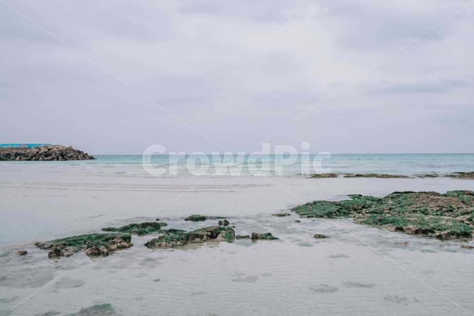 제주도,바다,겨울바다,월정리,파도,해변,제주,모래사장,모래,풍경,자연,korea,jeju,sea,wave,wintersea,자연,풍경,nature,landscape,한국자연풍경,한국자연경관,korea nature landscape,해변,바다,beach,sea,제주도,jeju,jeju island,water,물,shoreline,해안선,land,땅,outdoors,옥외