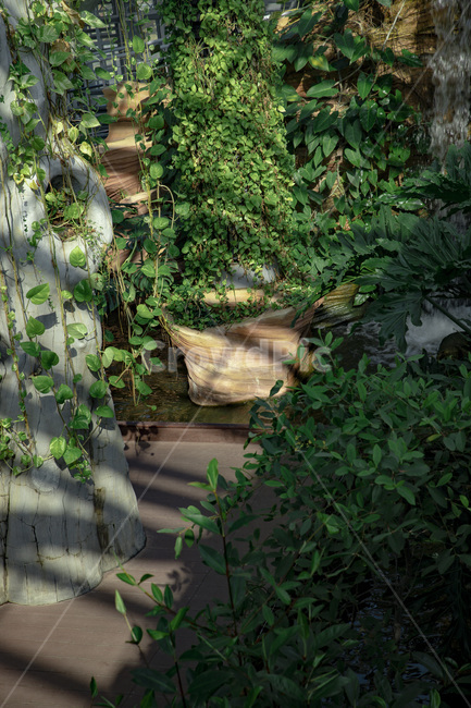 나무,숲,감성사진,식물원,동궁원,감성,식물,자연,plants,nature