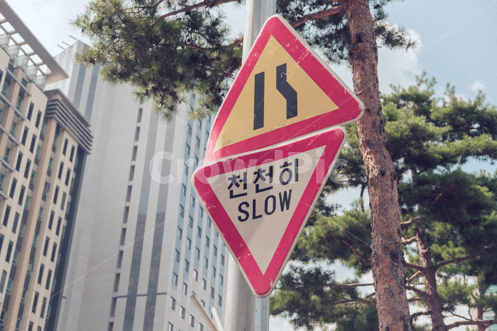 sign,기호,roadsign,도로표지판,상징,symbol,교통,교통수단,traffic,transportation