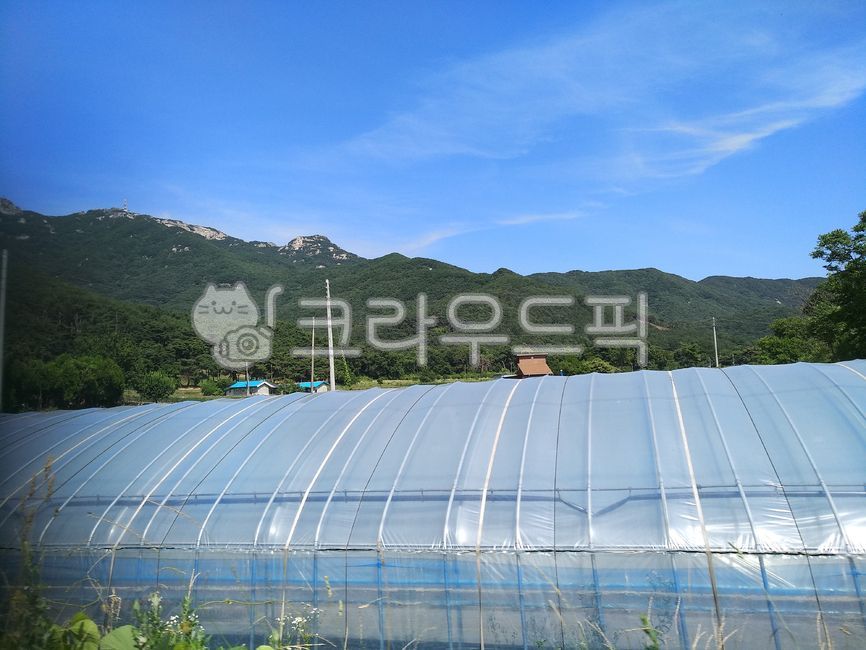 비닐하우스,하우스농사,하우스재배,온실재배,농업