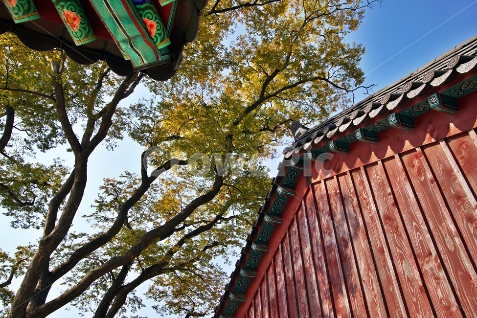 삼막사,안양삼막사,삼성산,불교사찰,산사,계절,가을,한국전통,한국문화,korean traditional,korean culture