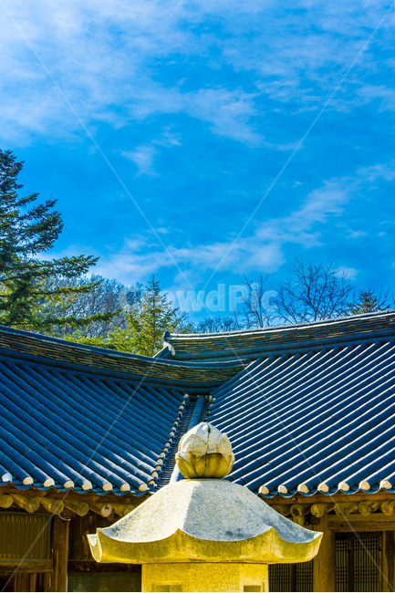 석탑,기와,사찰,선,문양,무늬,한국전통,한국문화,korean traditional,korean culture,종교,신앙,religion,belief,faith,건축물,건물외관,exterior,building,structure,architecture,construction