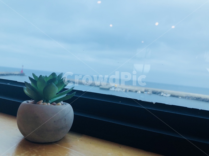 제주도,jeju,분위기,아련,바다