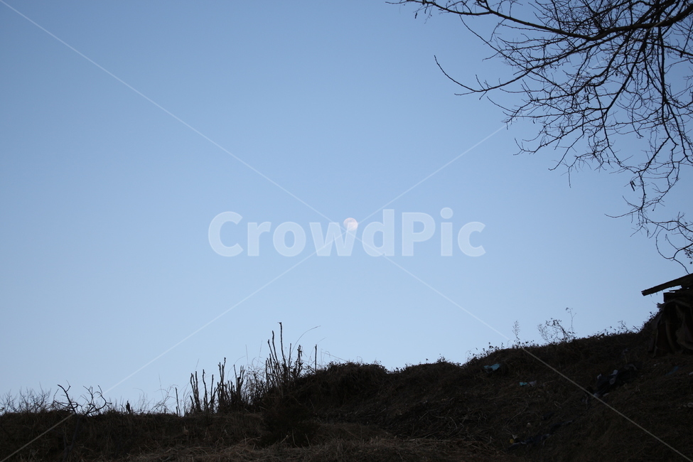 새벽녘,안개,새벽해,들판,음영,하늘,공허함,생각,자연,풍경,nature,landscape,outdoors,옥외