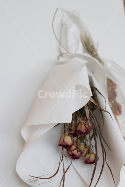 꽃,드라이플라워,장미,dryflower,장식,인테리어,감성,꽃,flower,실내용화초,화분,화초,house plant,인테리어,실내디자인,interior design